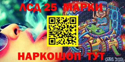 a pvp Свободный