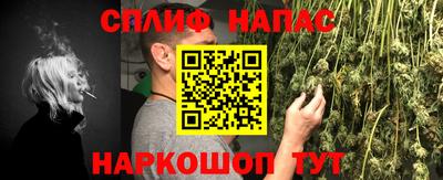 a pvp Свободный