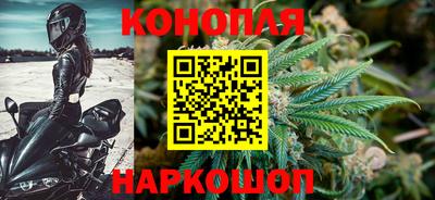 a pvp Свободный