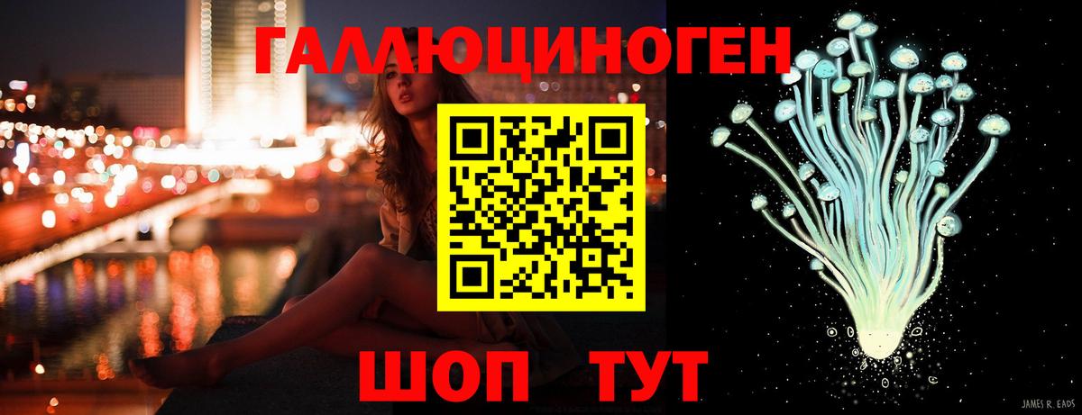 Галлюциногенные грибы прущие грибы  Вход с VPN  Псилоцибиновые грибы Cubensis  цена наркотик  Гатчина 